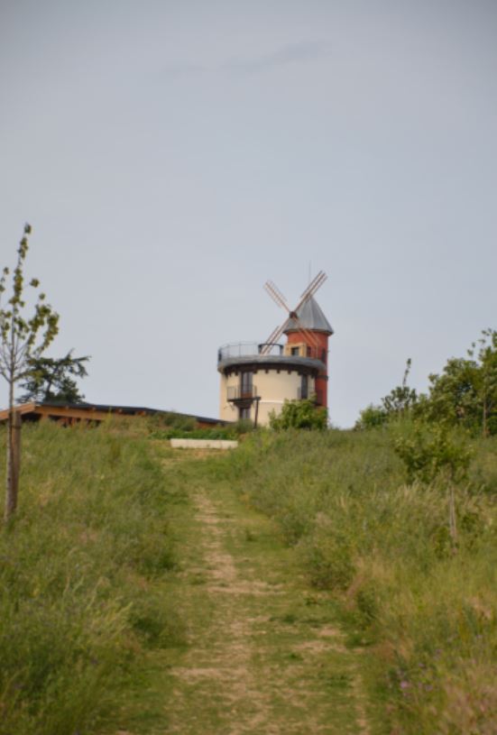 Butte d'Orgemont - Moulin d'Orgemont