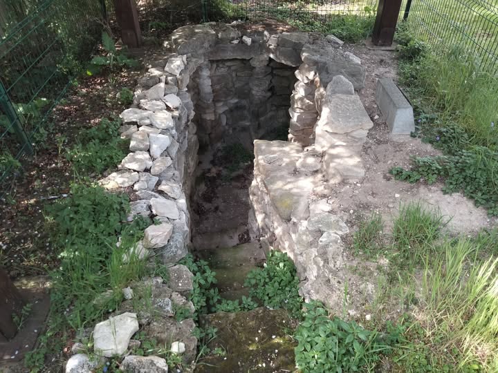 Cave gallo romaine à Taverny Cave gallo romaine à Taverny