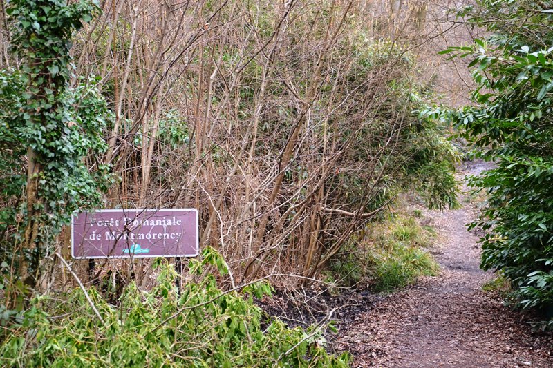 Le chemin Madame - Circuit Saint-Leu Saint-Prix