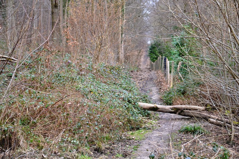 Le chemin Madame - Circuit Saint-Leu Saint-Prix 