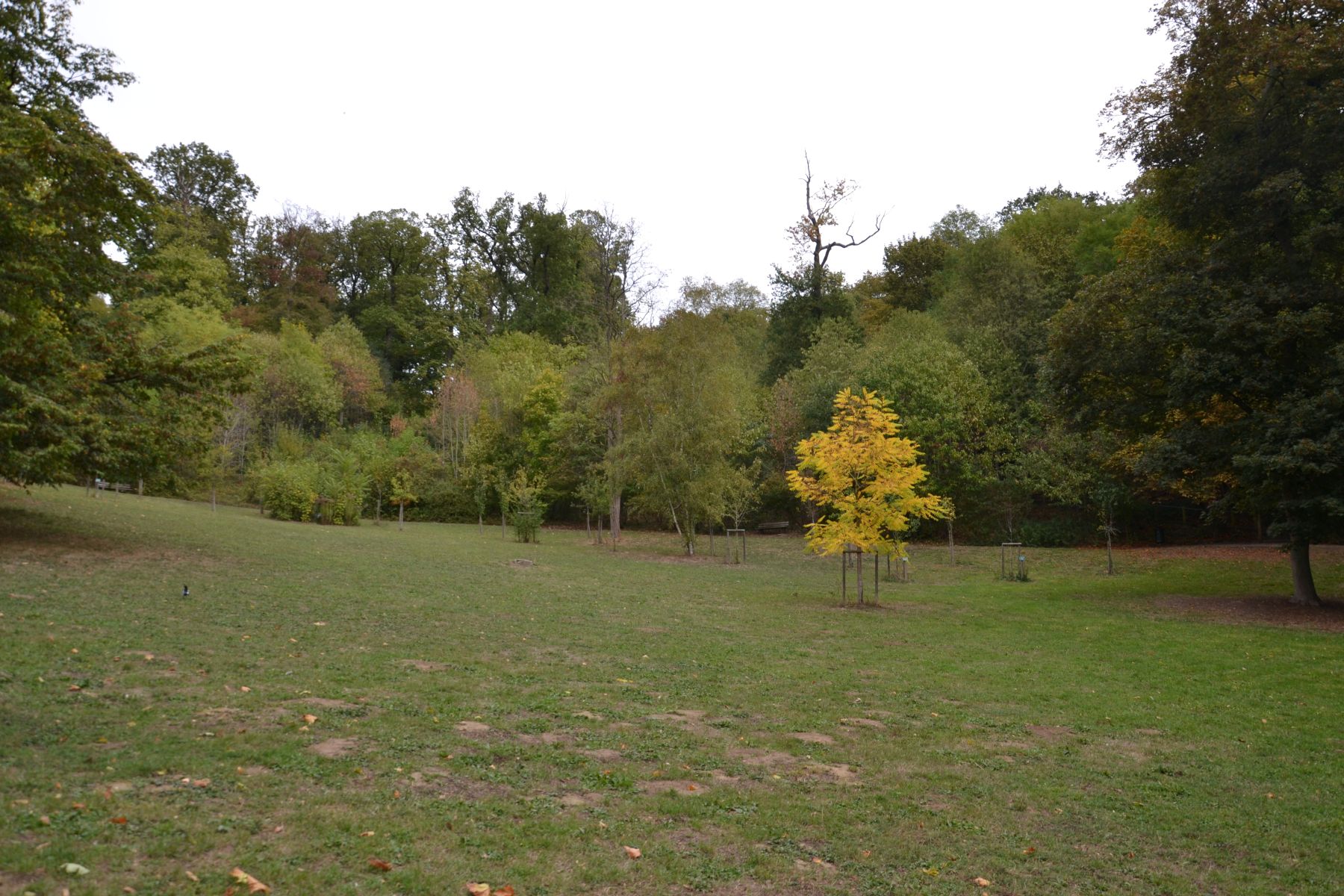Parc Schlumberger