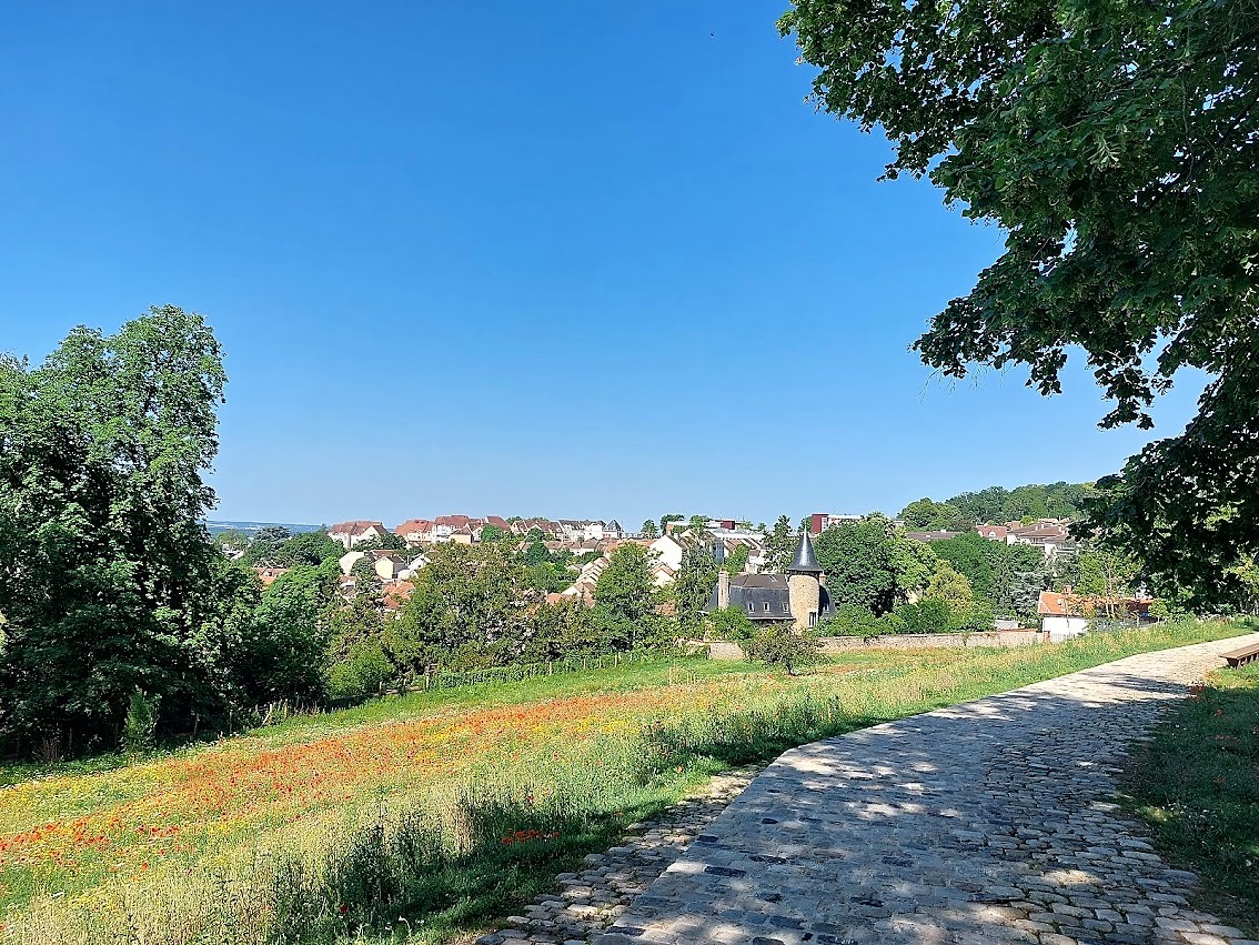 Domaine Chabrand-Thibault