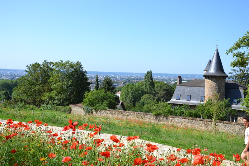 Domaine Chabrand-Thibault