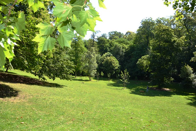 Parc départemental Schlumberger - Cormeilles-en-Parisis