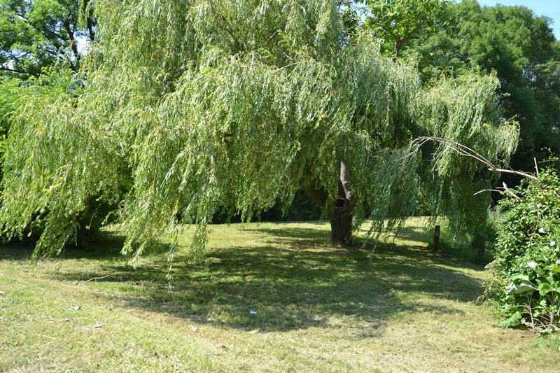 Montmagny  - Butte Pinson