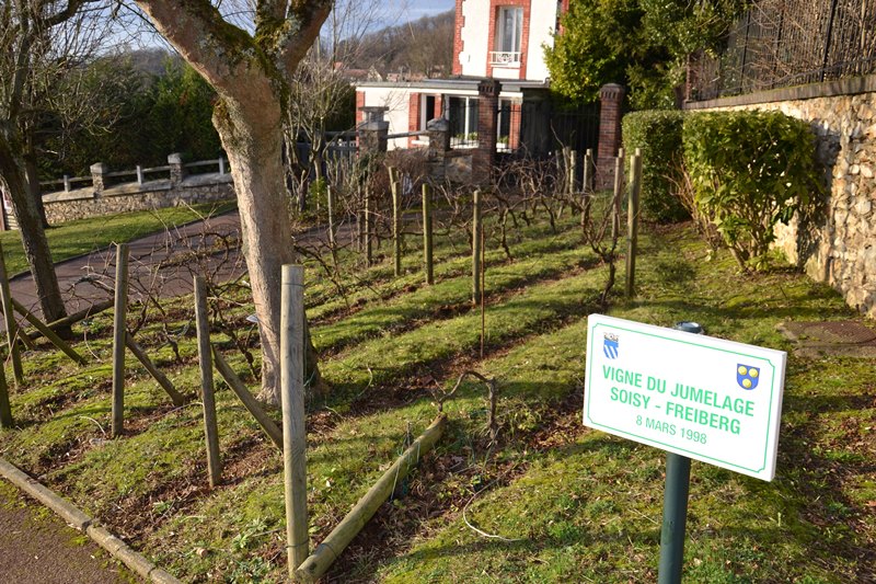 Vignes de la Place verte