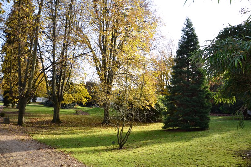 Parc René Bailly à Soisy-sous-Montmorency 