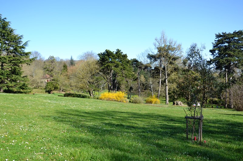 Parc du château de la Tuyolle - Hôpital Le Parc à Taverny