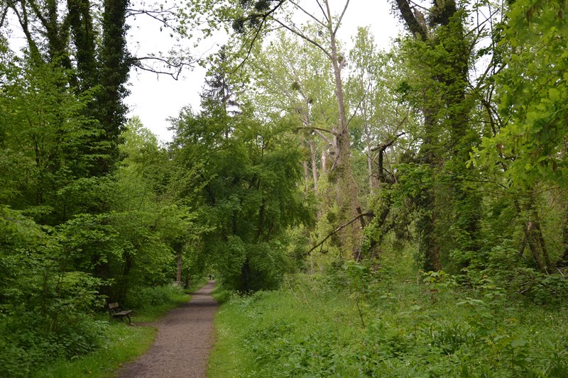 Parc de Grouchy - Osny
