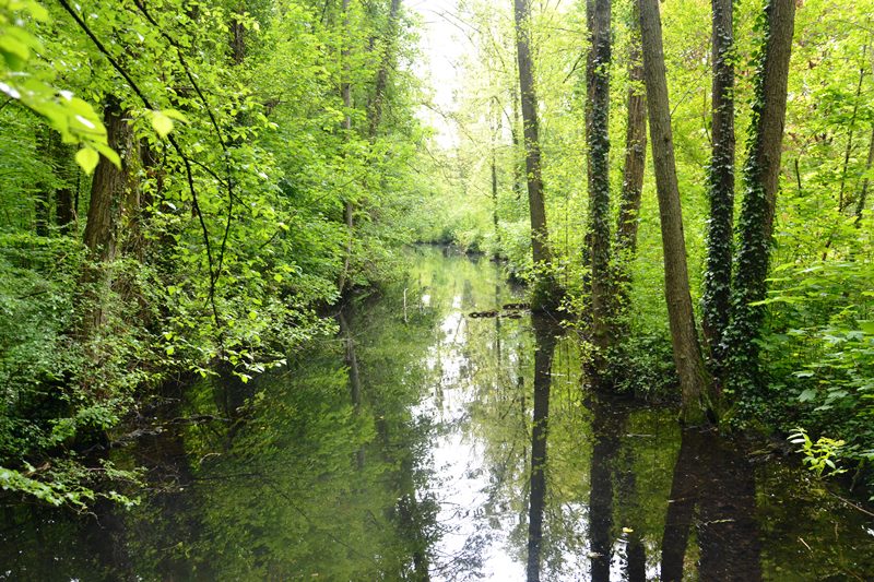 Parc de Grouchy - Osny