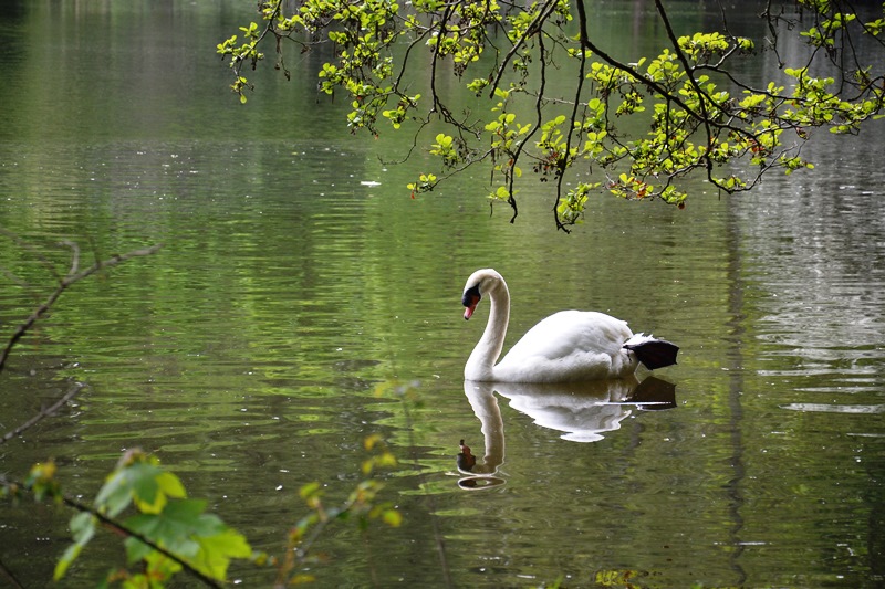 Parc de Grouchy - Osny