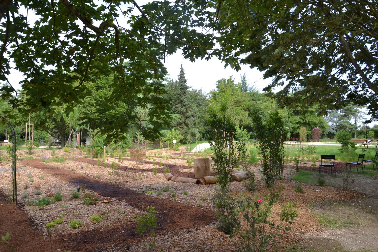 Parc de Pontalis - Taverny