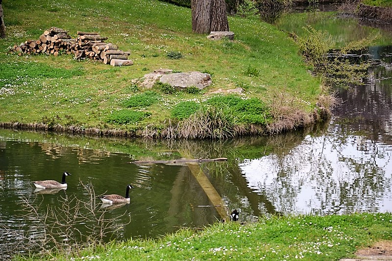 Parc des Huit Arpents à Andilly