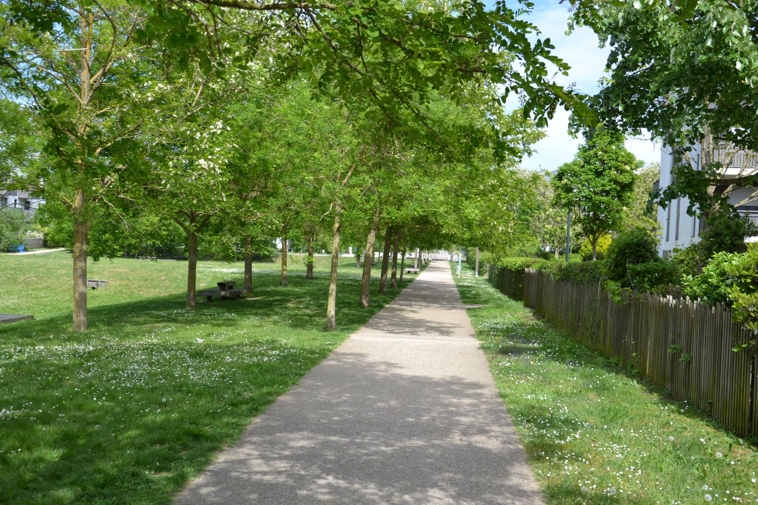 Promenade de Z&eacute; - Bessancourt - 2026