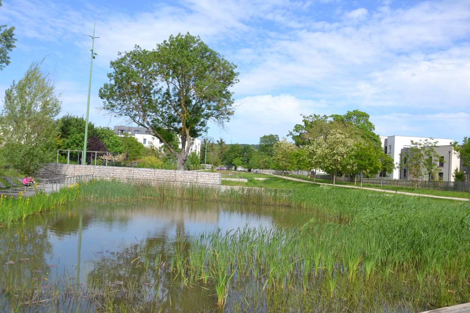 Promenade de Z&eacute; - Bessancourt - 2026