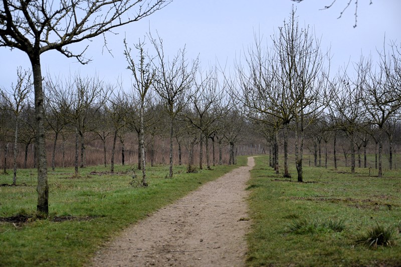 Espace Naturel Andilly - Janvier 2025