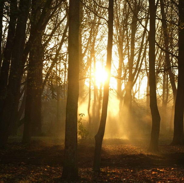 Abbaye de Maubuisson en nocturne