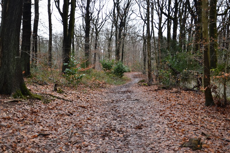 Idée balade Andilly - Forêt de Montmorency