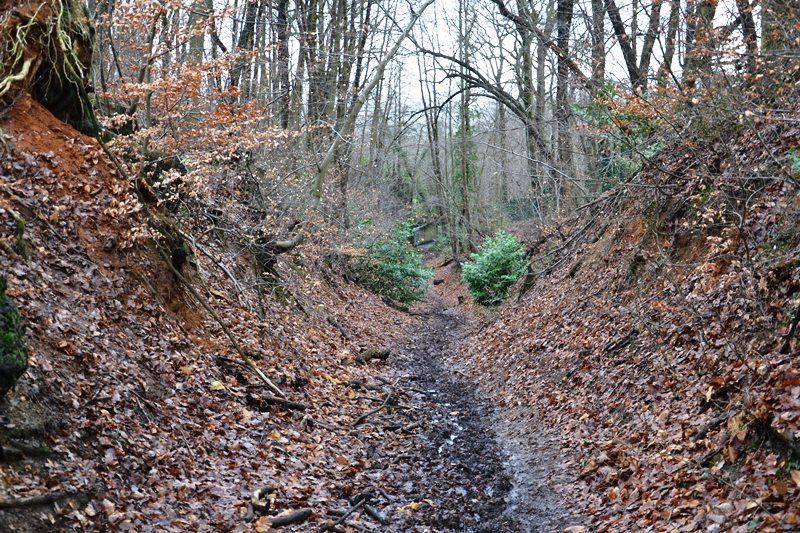 Idée balade Andilly - Forêt de Montmorency