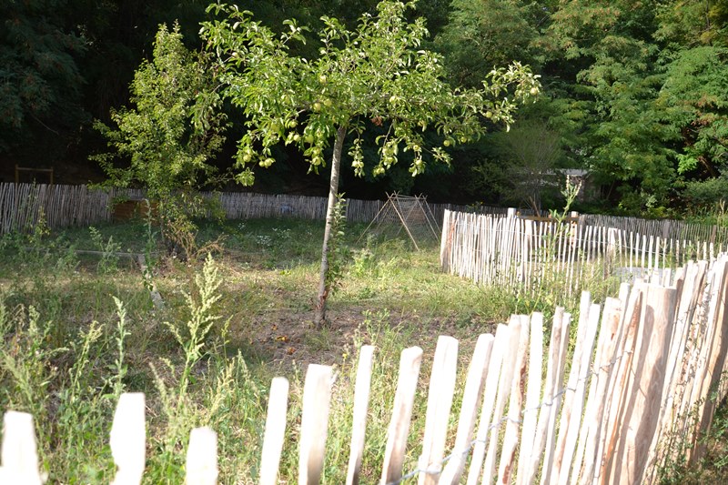 Le jardin des semences oubliées