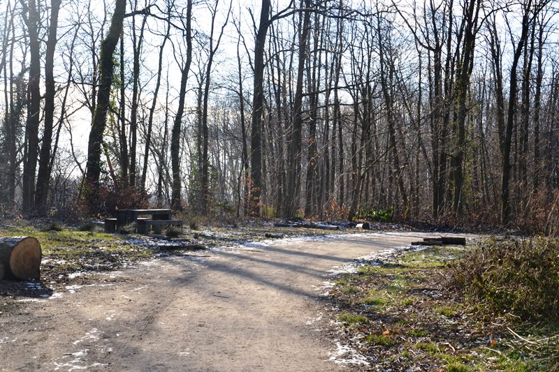 La Montagne de Franconville (fevrier 2021)