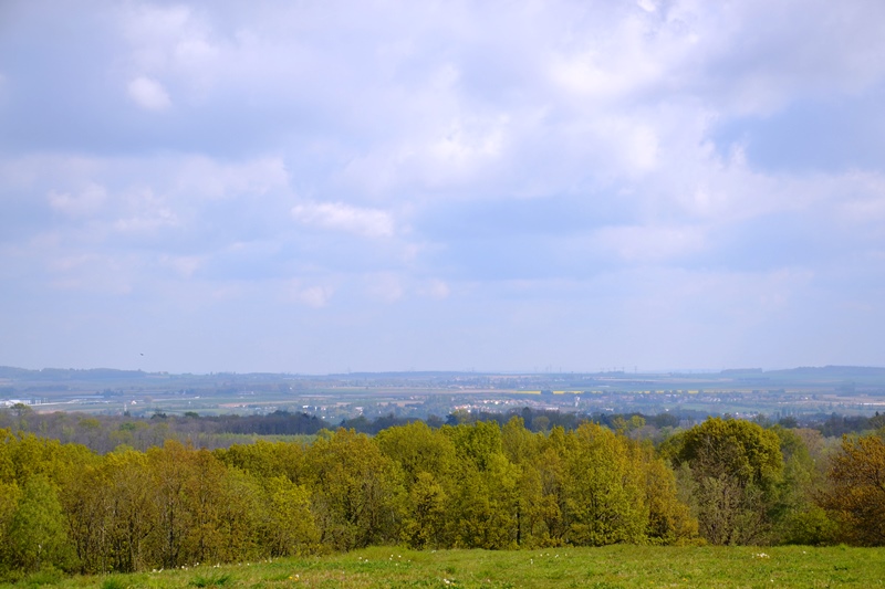 Vue de l'espace naturel régional du plateau d'Andilly.