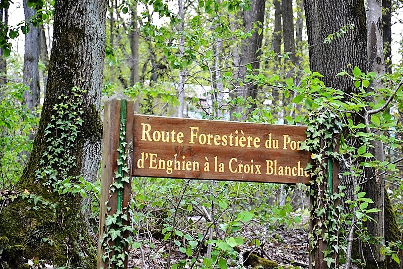 Route forestière du Pont d'Enghien à la Croix Blanche