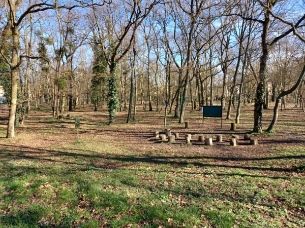 Bois des Copistes - Montigny-les-Cormeilles
