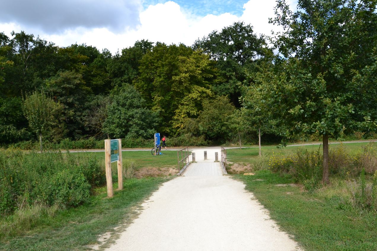 Bois de Boissy à Taverny