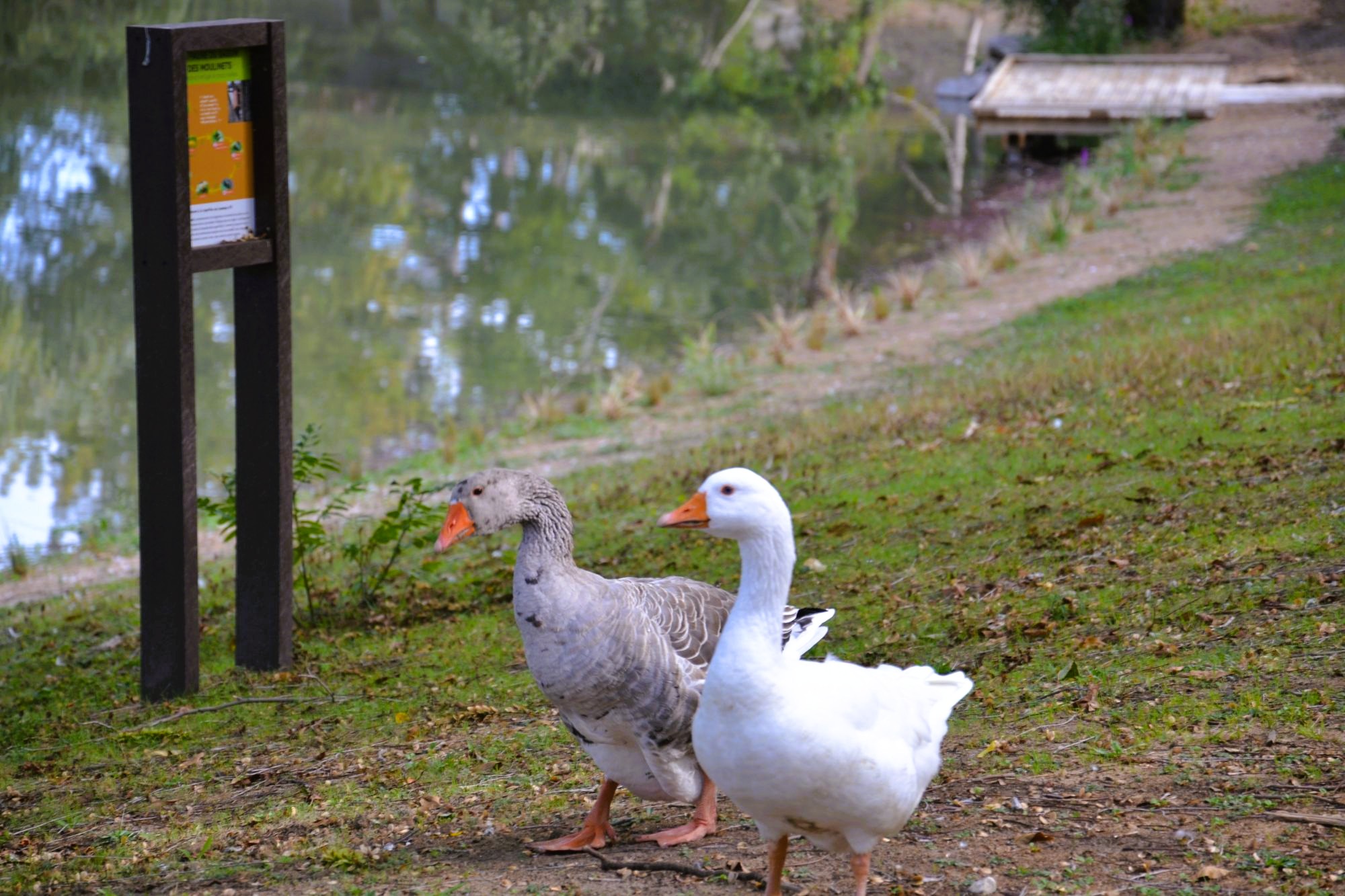 Bassin des Moulinets - Eaubonne