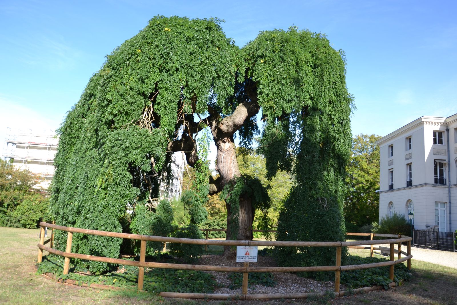 Parc de la mairie de Margency