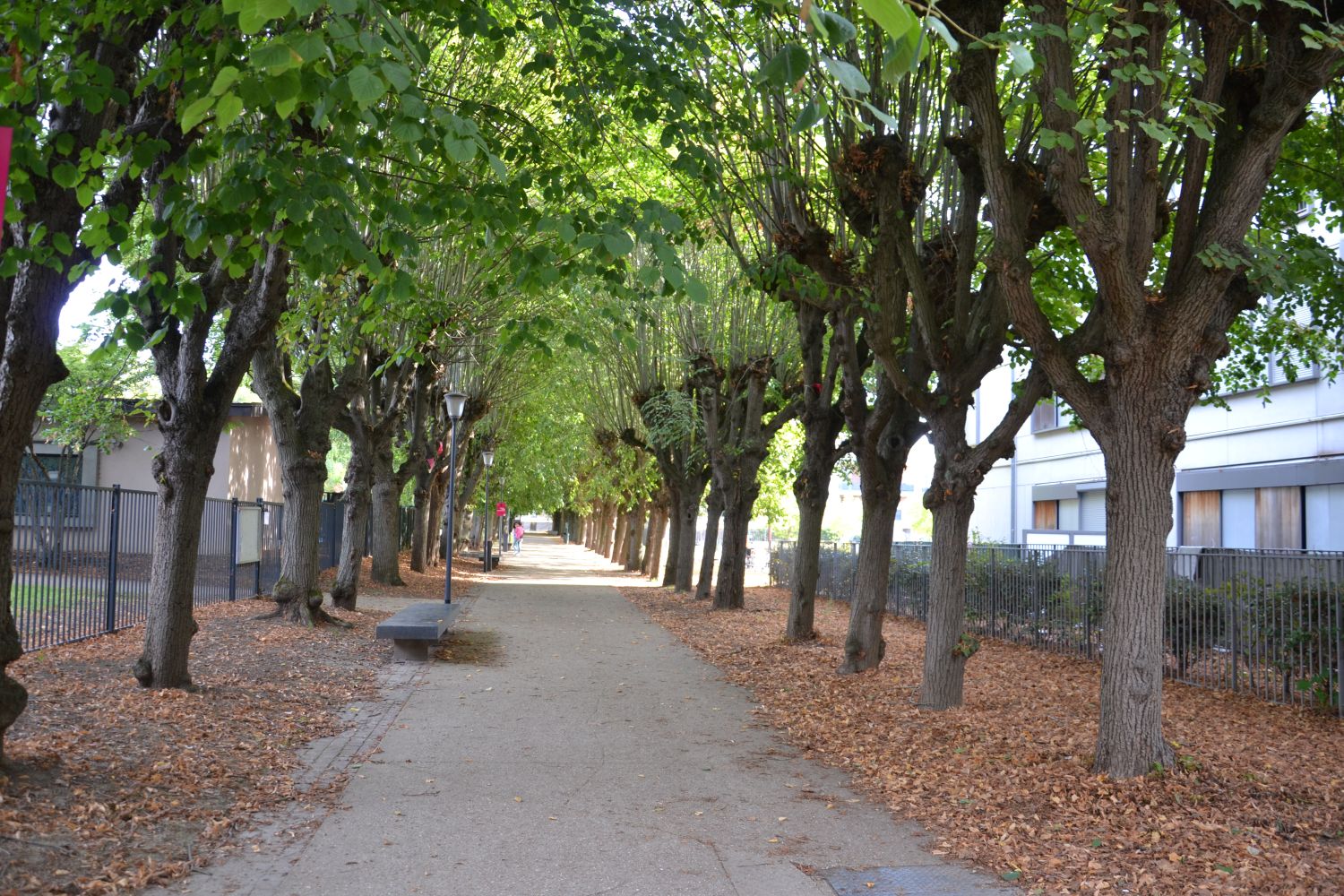 Promenade ombrag&eacute;e derri&egrave;re le ch&acirc;teau du Val Joli - Eaubonne