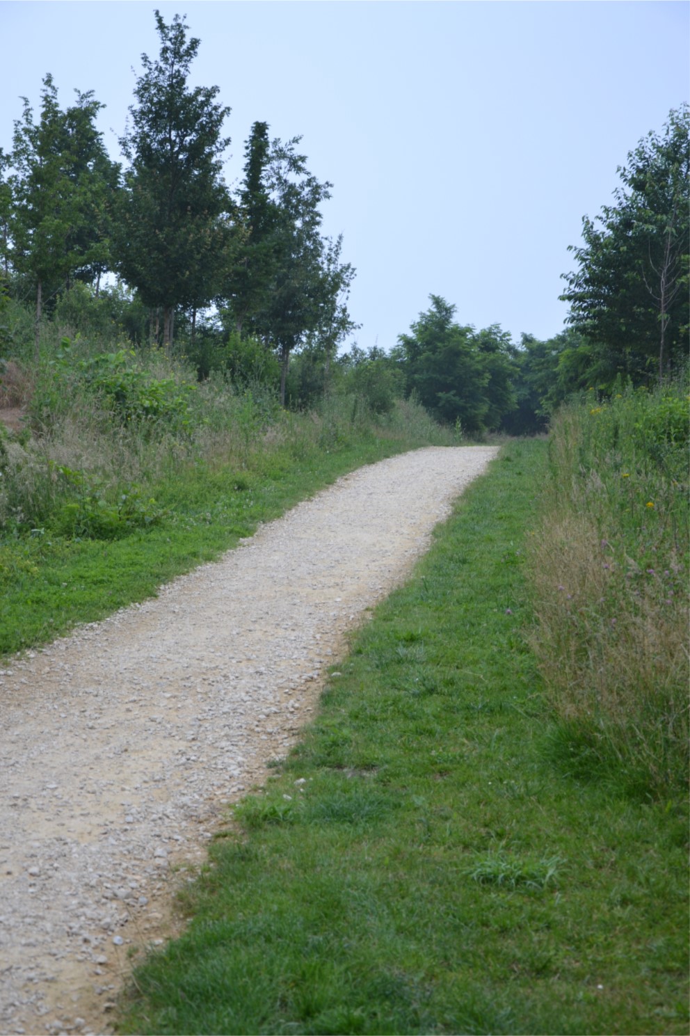 Butte des Chataigniers