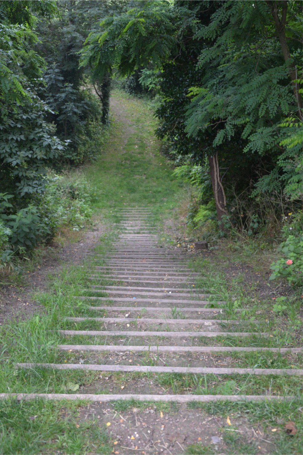 Butte des Chataigniers