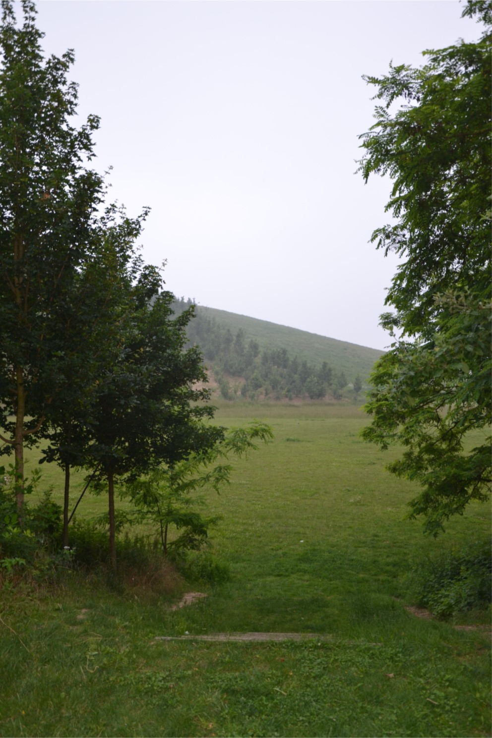 Butte des Chataigniers