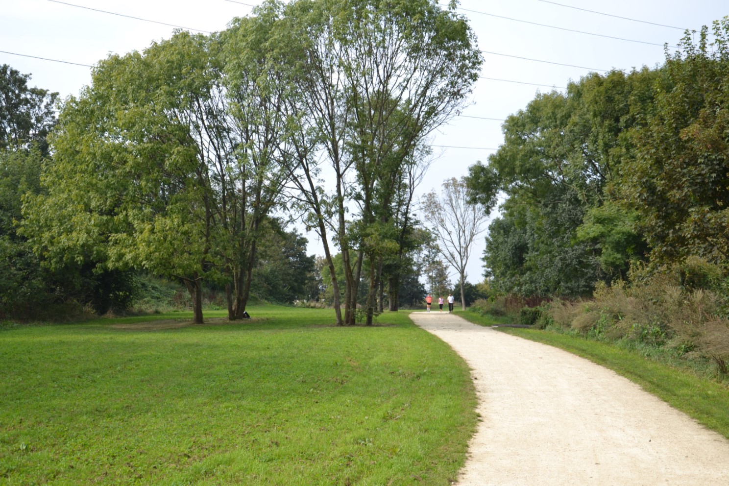 Butte Pinson à Montmagny
