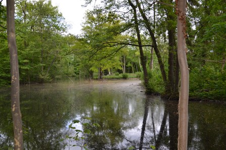 parc du Château de Méry-sur-Oise