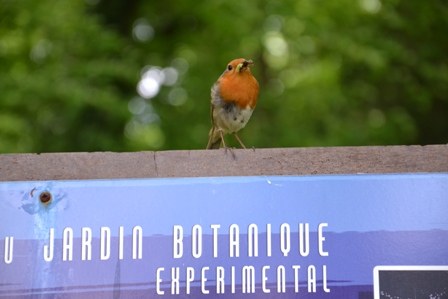 parc du Château de Méry-sur-Oise