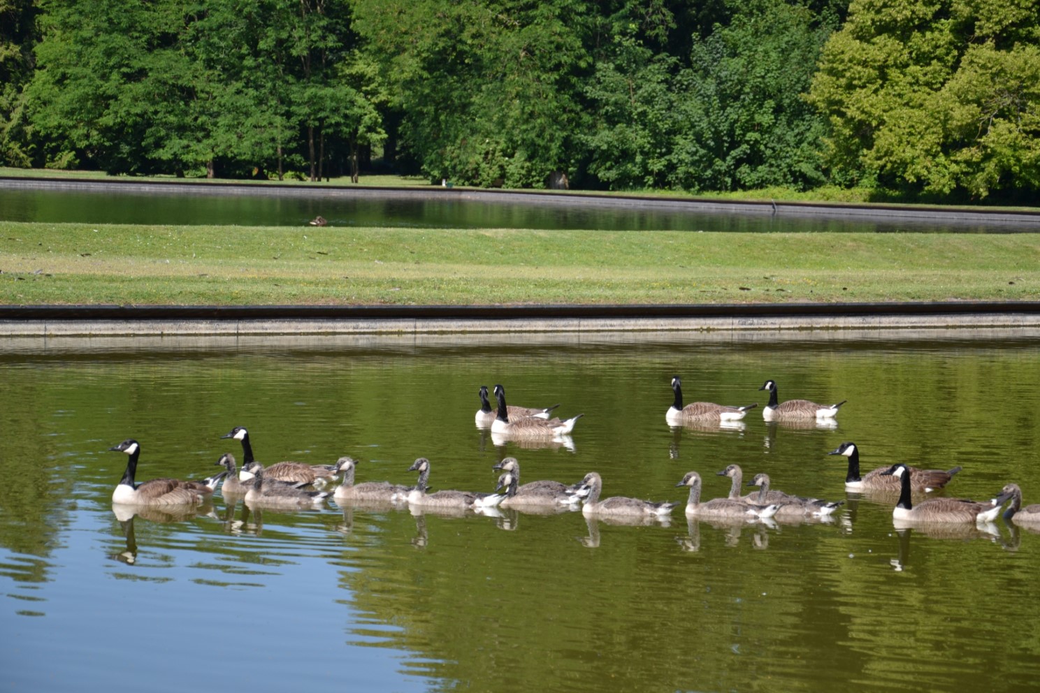 Parc du Château de Méry-sur-Oise