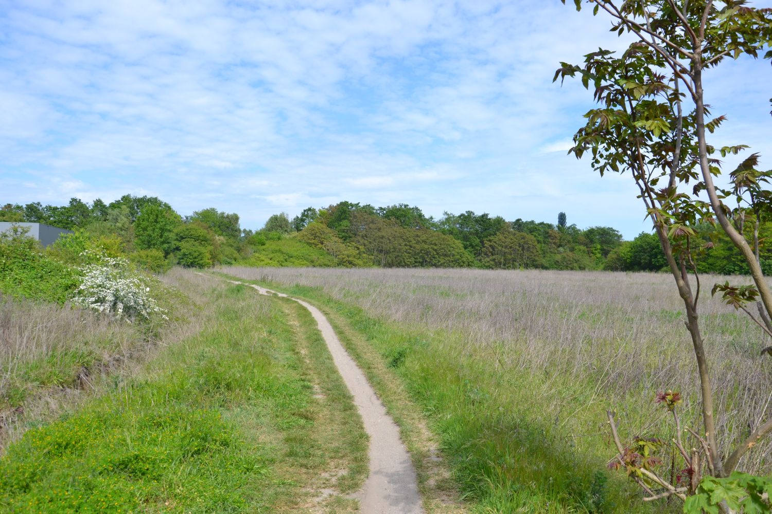 Chemin des Ecouardes - 2026