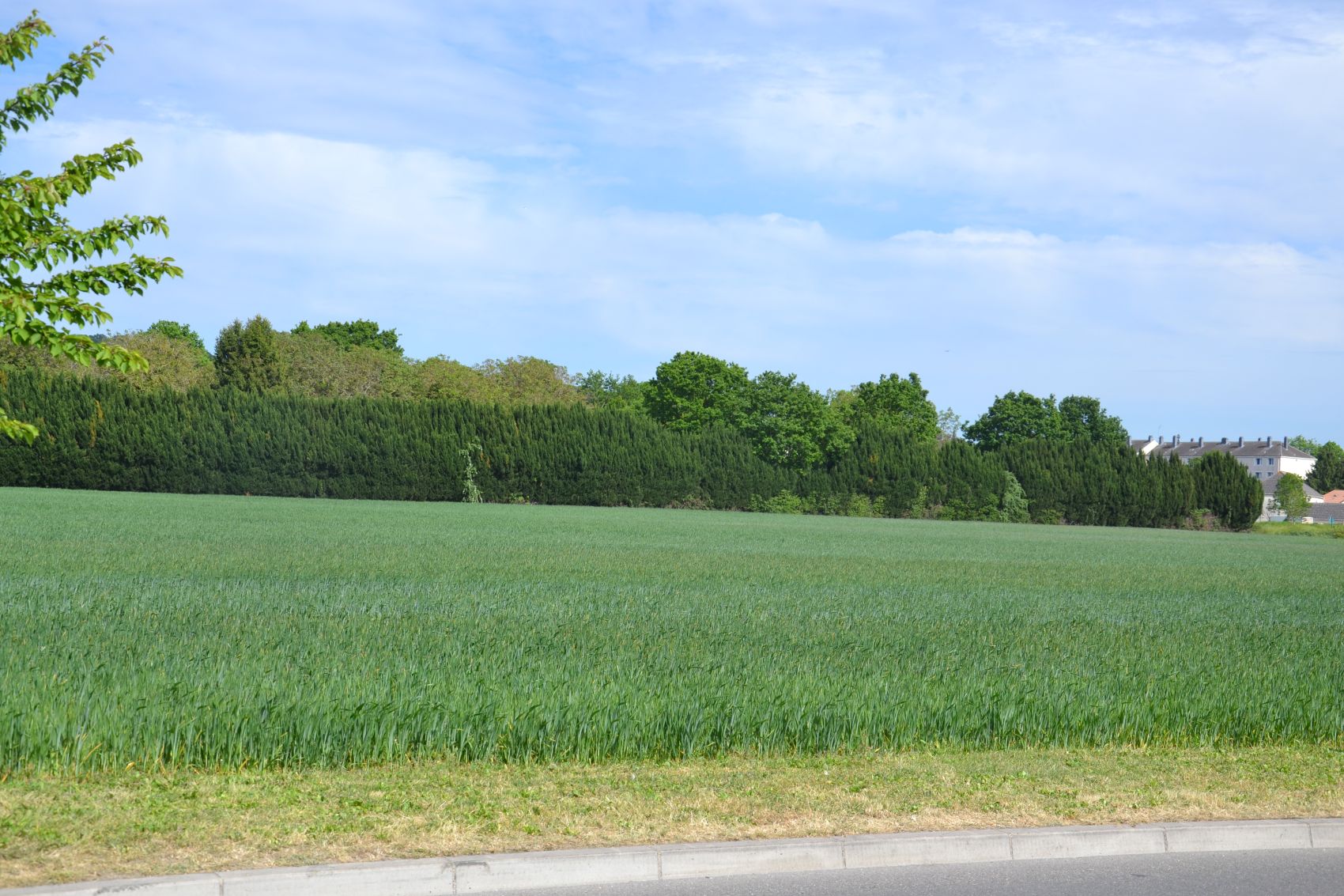 Chemin des Ecouardes - 2026