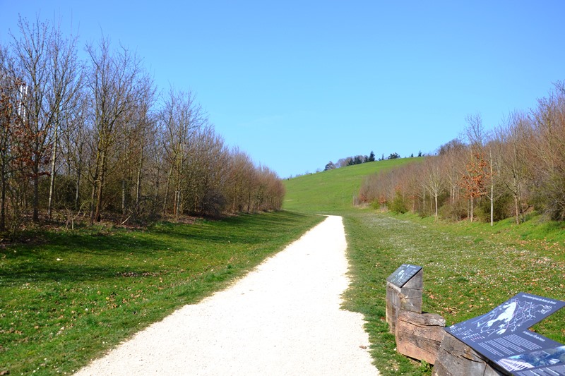 Chemin menant à la Butte aux Châtaigniers