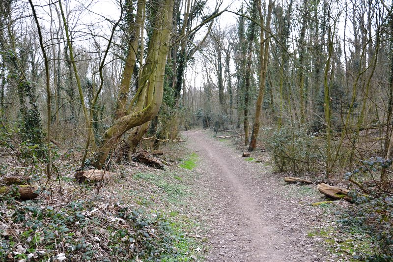 Chemin du trou à glaises