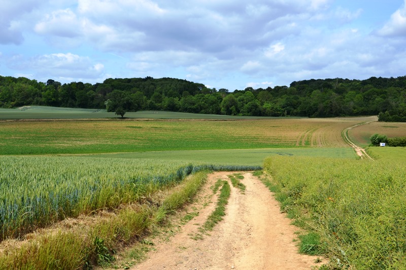Circuit autour de Frépillon - 2025