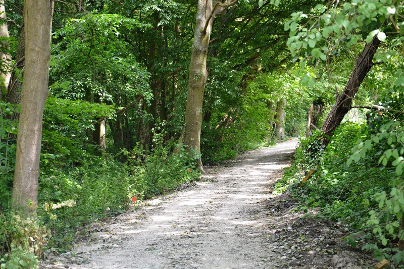 Circuit Frépillon - sentier des lisières