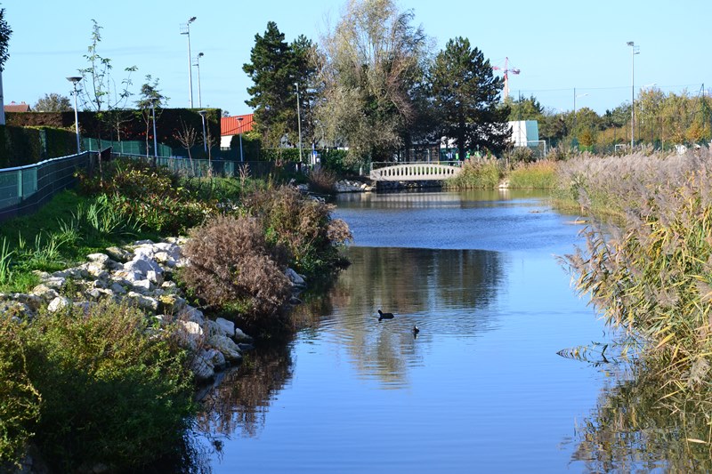 Bassin des Cressonnières - Saint-Gratien