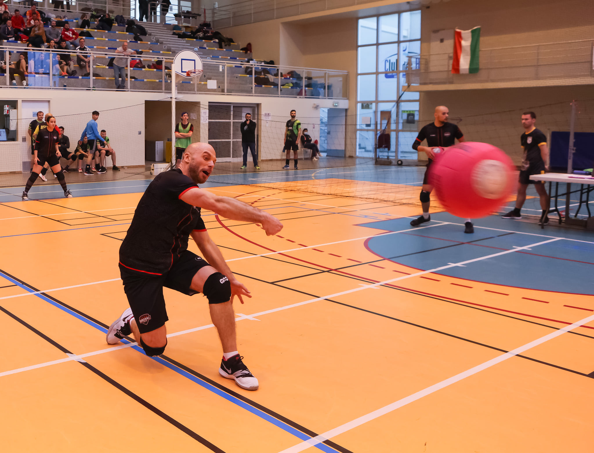 Dodgeball (photos - Audrey Brin)