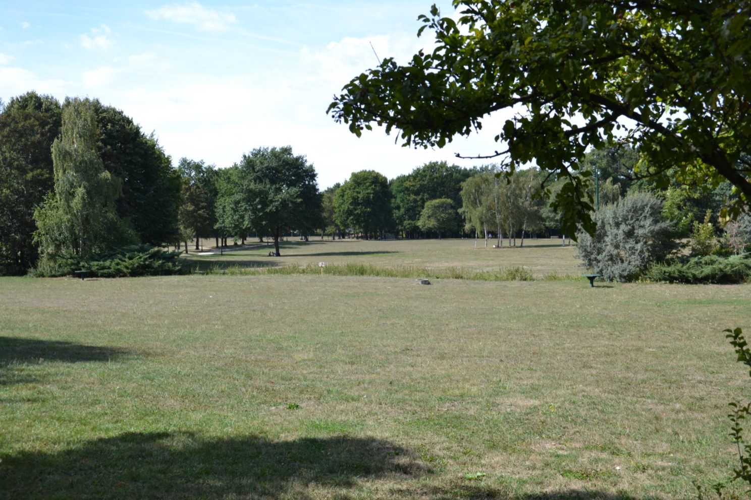 Bois des Eboulures de Franconville