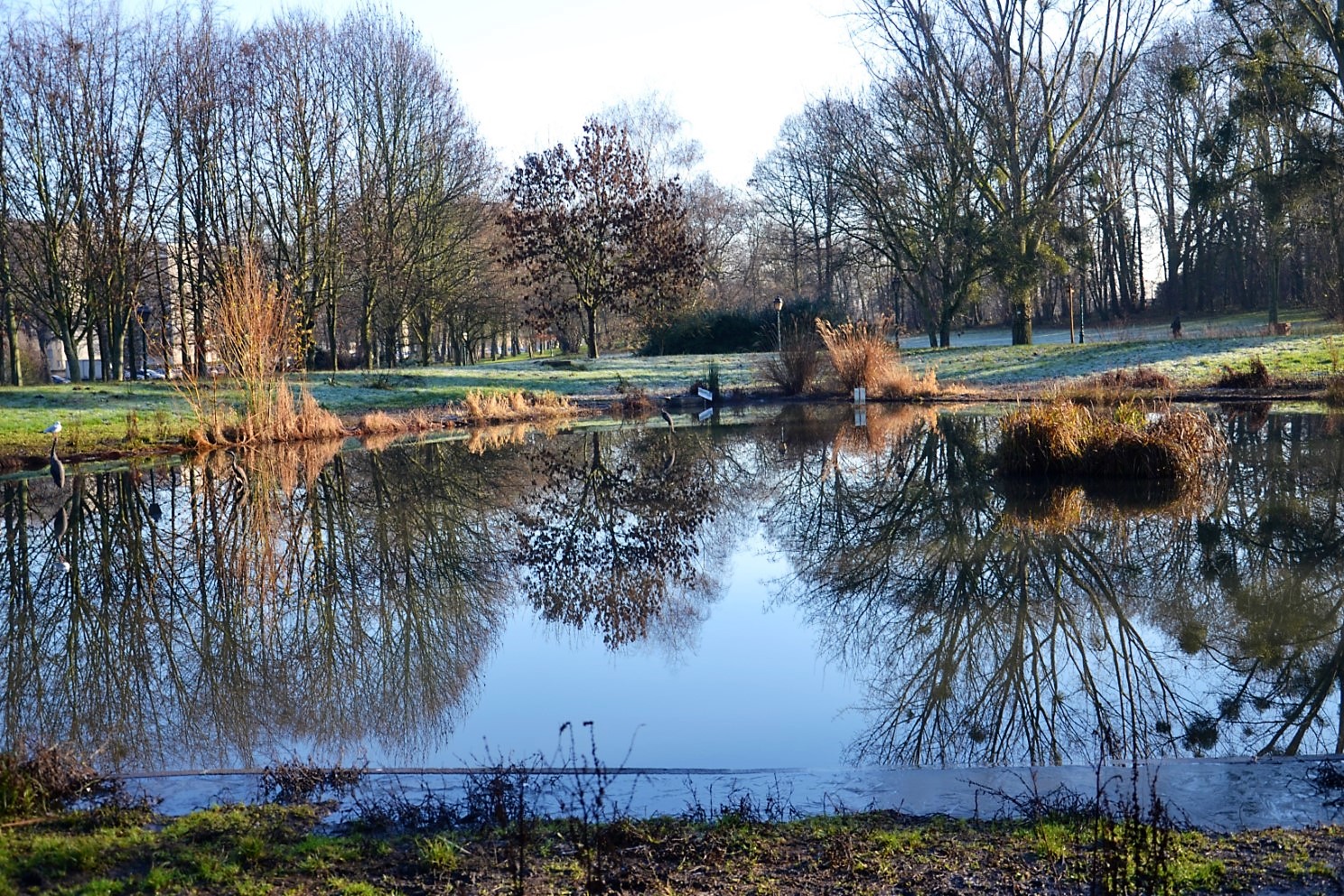 Le Bois des Eboulures à Franconville