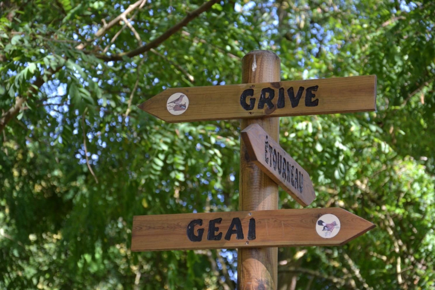 Bois des Eboulures de Franconville